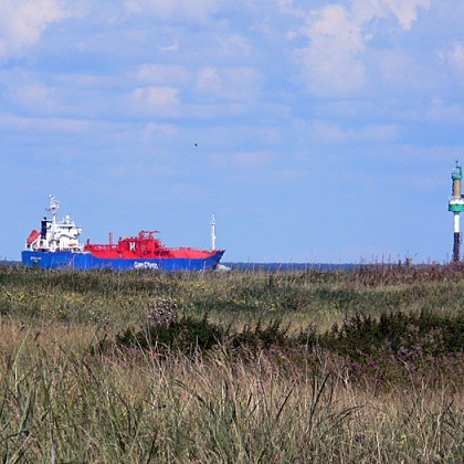 ferienwohnung-cuxhaven-wattwanderung-scharhoern-21